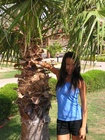 Andrea